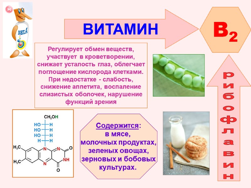 ВИТАМИН  B2 рибофлавин Регулирует обмен веществ, участвует в кроветворении, снижает усталость глаз, облегчает